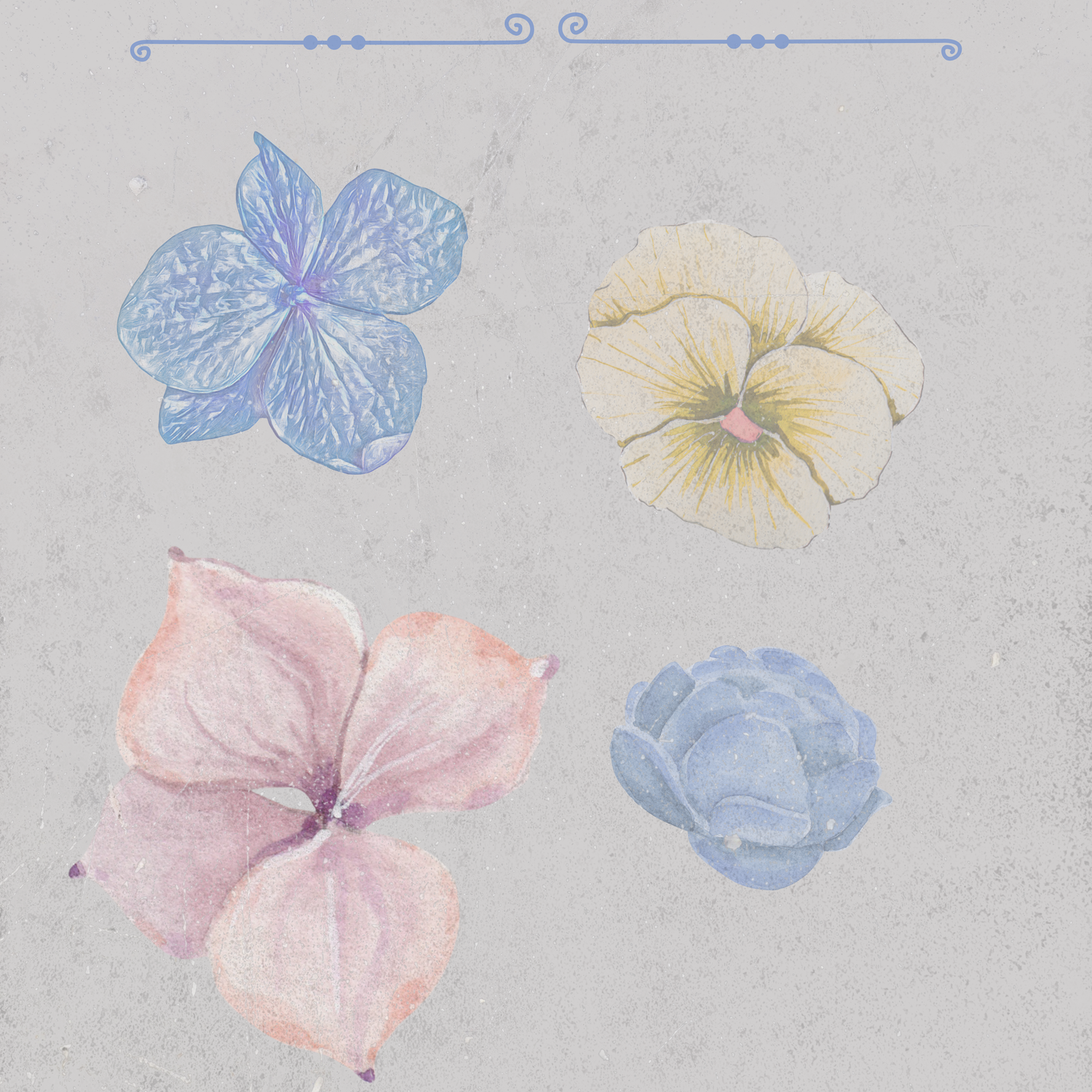 Perennial